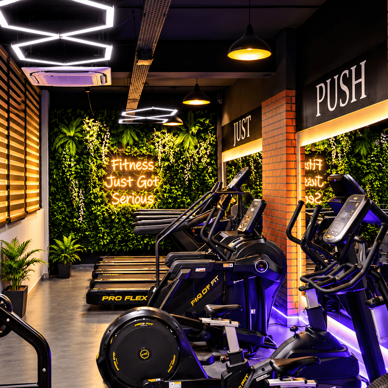 Modern Dream Fitness gym interior