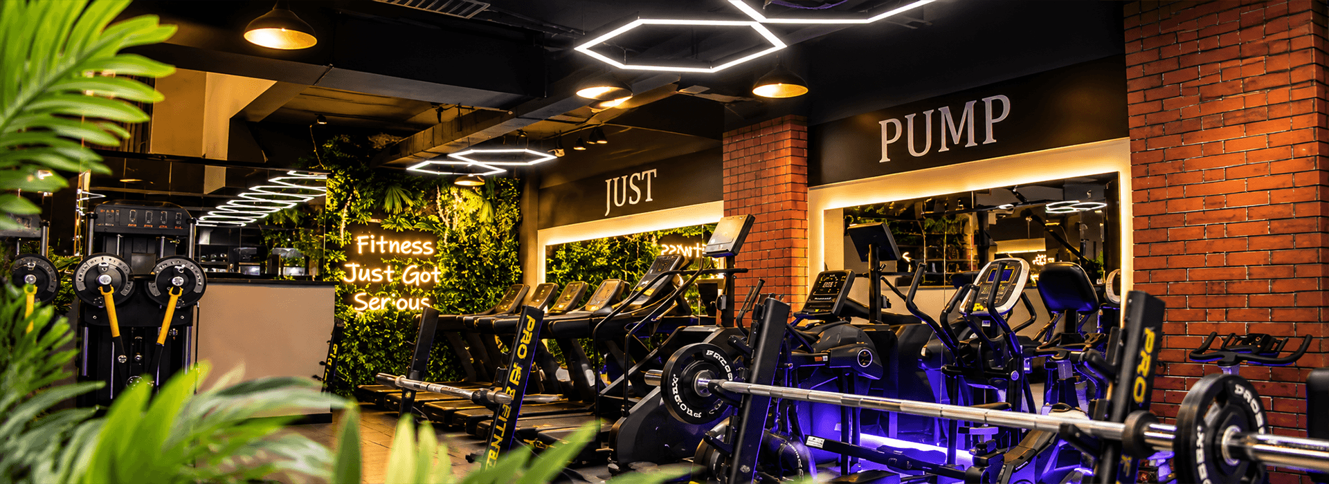 Dream Fitness strength training
