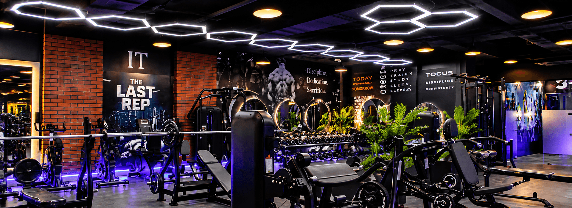 Dream Fitness cardio and workout equipment